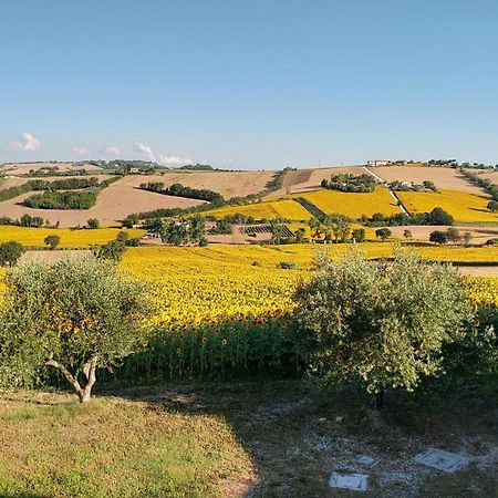 Agriturismo Vallelunga 안코나 외부 사진