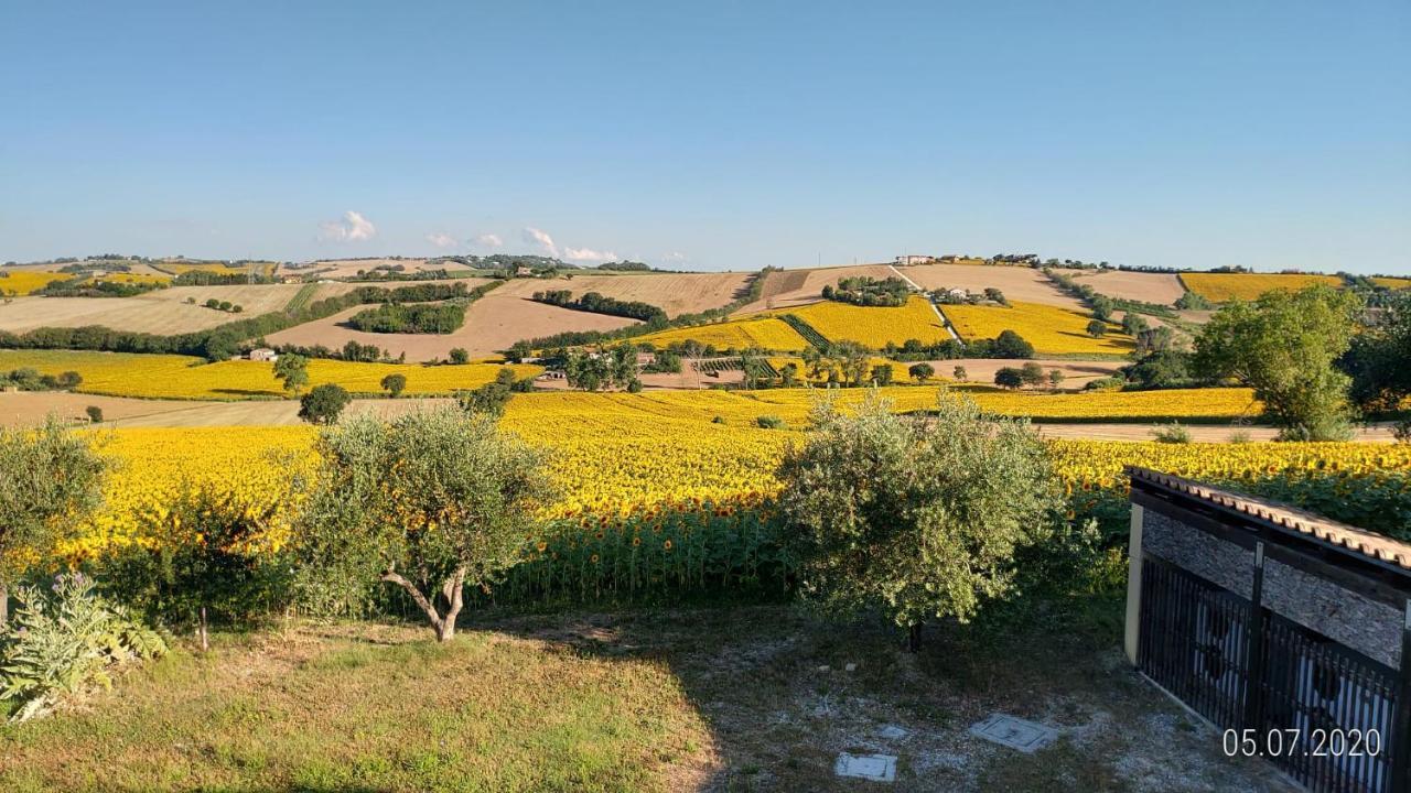 Agriturismo Vallelunga 안코나 외부 사진