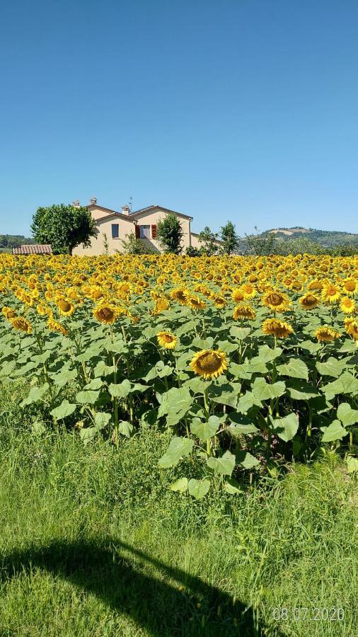 Agriturismo Vallelunga 안코나 외부 사진