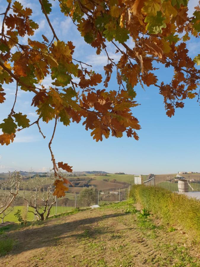 Agriturismo Vallelunga 안코나 외부 사진